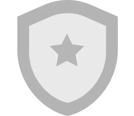 美国/波黑 图标
